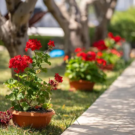 Beachfront Mihovil With Direct Access فيلة Kaštel Štafilić